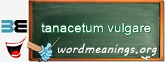 WordMeaning blackboard for tanacetum vulgare